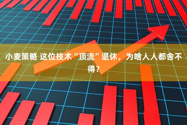 小麦策略 这位技术“顶流”退休，为啥人人都舍不得？