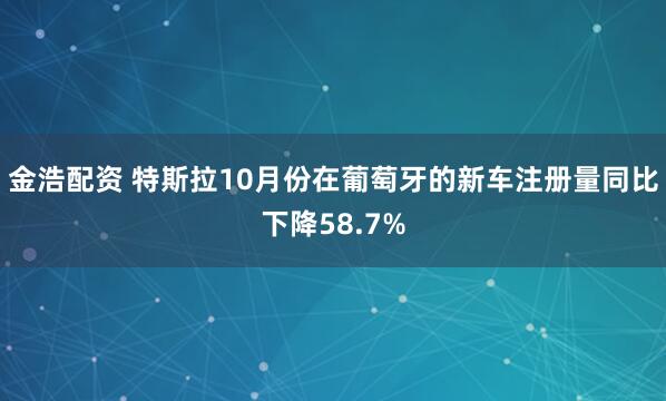金浩配资 特斯拉10月份在葡萄牙的新车注册量同比下降58.7%