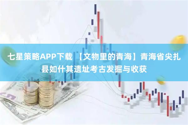 七星策略APP下载 【文物里的青海】青海省尖扎县如什其遗址考古发掘与收获