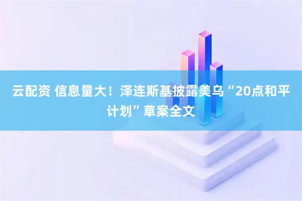 云配资 信息量大！泽连斯基披露美乌“20点和平计划”草案全文