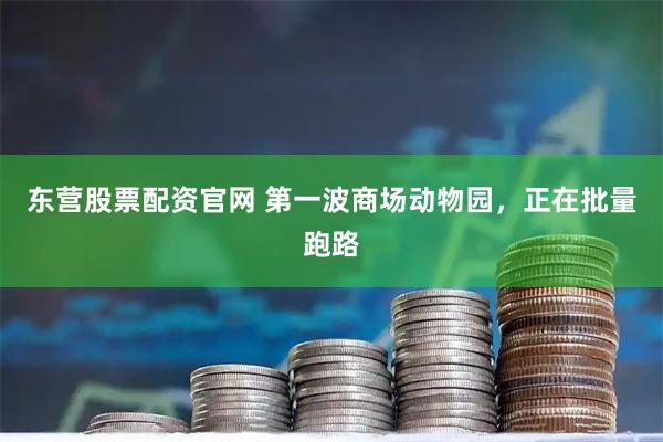 东营股票配资官网 第一波商场动物园，正在批量跑路