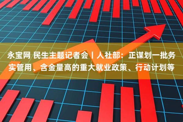 永宝网 民生主题记者会丨人社部：正谋划一批务实管用、含金量高的重大就业政策、行动计划等